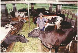 Usina Catende maio/2000 foto: Sérgio Figueiredo/ Grão