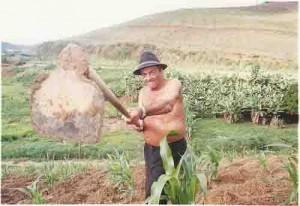 Trabalhador rural da Usina Catende maio/2000 foto: Sérgio Figueiredo/ Grão